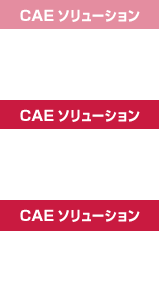CAE�\�����[�V����