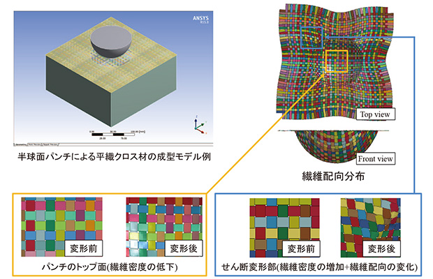 図2　ファブリック素材のプレス成形品の繊維配向と繊維密度分布