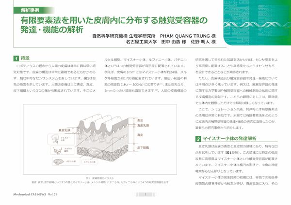 自然科学研究機構 生理学研究所様、名古屋工業大学様:CAE・Ansysの解析事例/技術資料を無料公開中