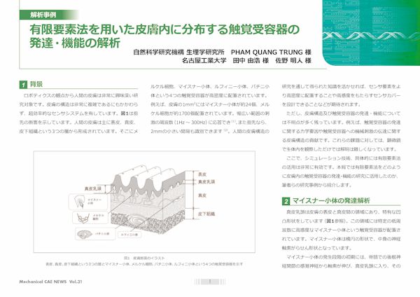 自然科学研究機構 生理学研究所様、名古屋工業大学様：CAE・Ansysの解析事例/技術資料を無料公開中