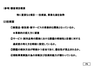 (参考)審査項目概要