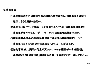 (3)事業化面