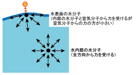 図1：空気中の水の表面張力