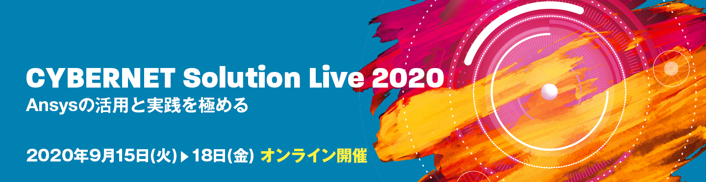 CYBERNET Solution Live 2020