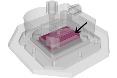 図8：従来モデルにおけるシリコーンゴムの位置