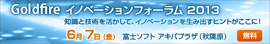 Goldfire イノベーションフォーラム 2013 Goldfire イノベーションフォーラム 2013