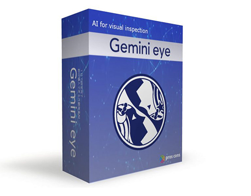 Gemini eye