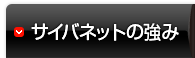 サイバネットの強み