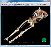 DICOM 3Dビューア入門編　Prime INTAGE