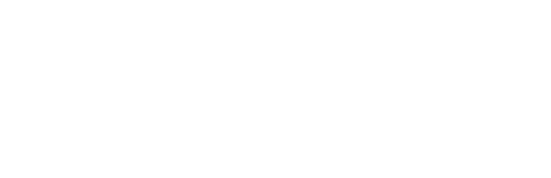 noesis