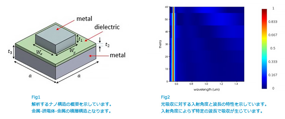 金属ナノ構造に対する光吸収の入射角度依存性の解析