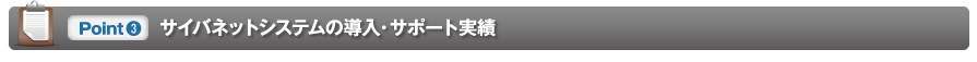 [Point3] サイバネットシステムの導入・サポート実績