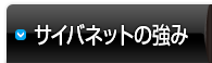 サイバネットの強み